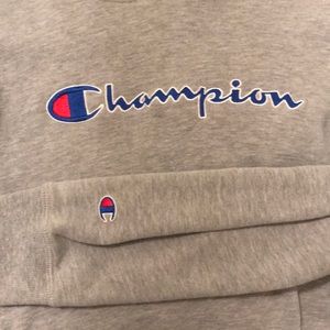 gray champion hoodie